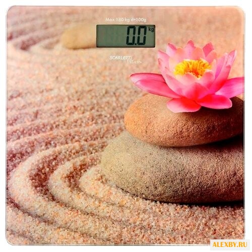 Весы Scarlett SC-BS33E093