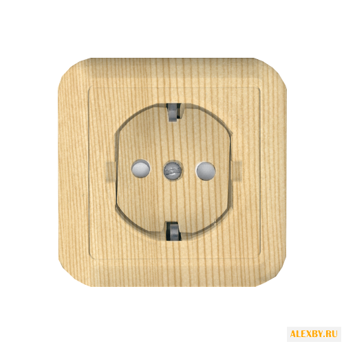 Розетка Schneider Electric