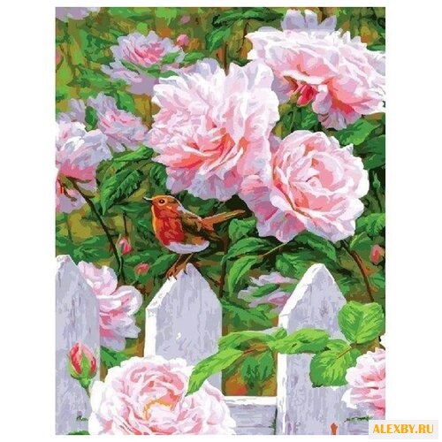 Paintboy Картина по номерам