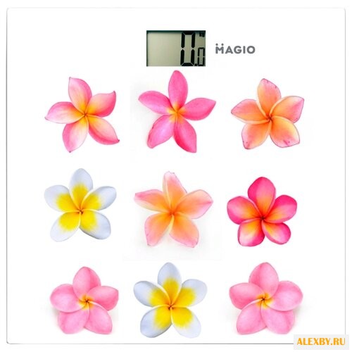 Весы Magio МG-818