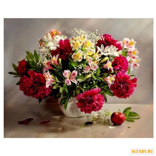 Paintboy Картина по номерам