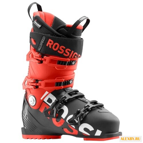 Ботинки для горных лыж