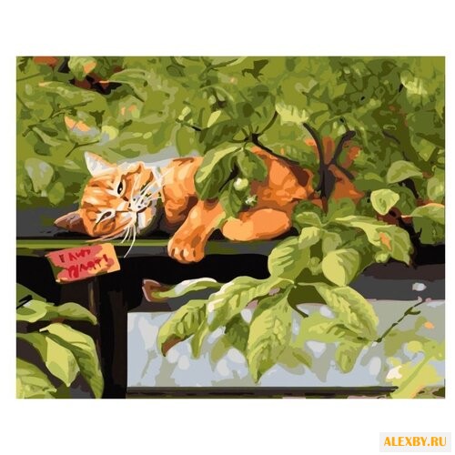Paintboy Картина по номерам Кот