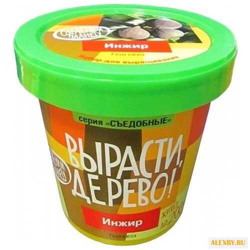 Набор для выращивания Вырасти