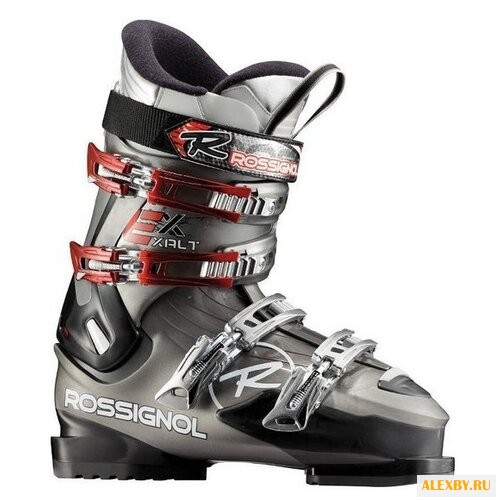 Ботинки для горных лыж