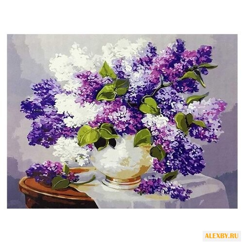 Paintboy Картина по номерам