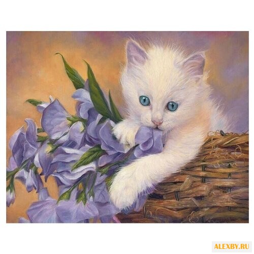 Molly Картина по номерам