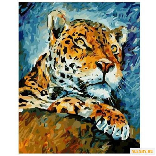 Paintboy Картина по номерам