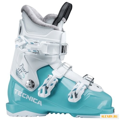 Ботинки для горных лыж Tecnica