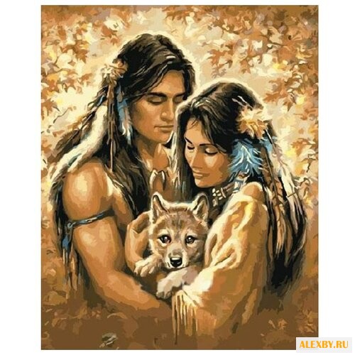 Paintboy Картина по номерам