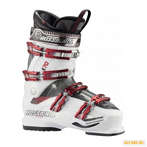 Ботинки для горных лыж