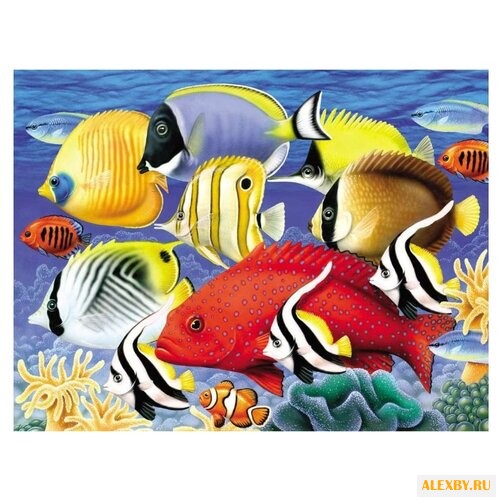 Royal & Langnickel Раскраска по