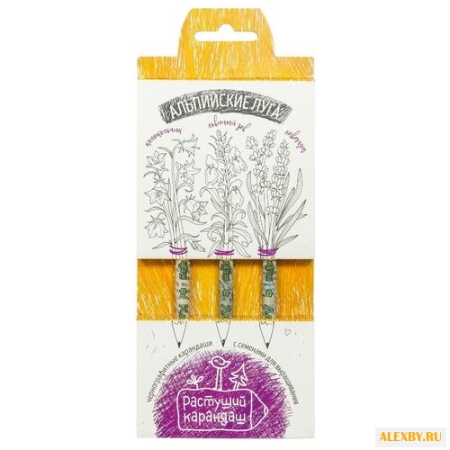 Эйфорд Набор чернографитных