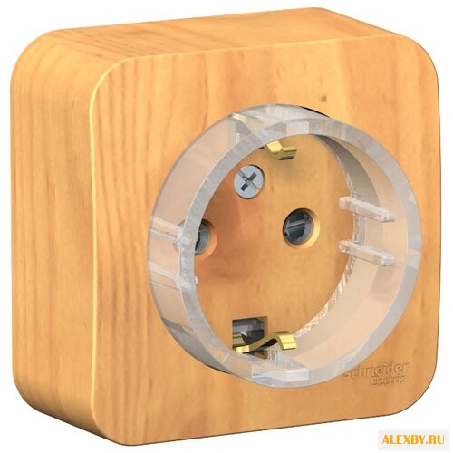 Розетка Schneider Electric