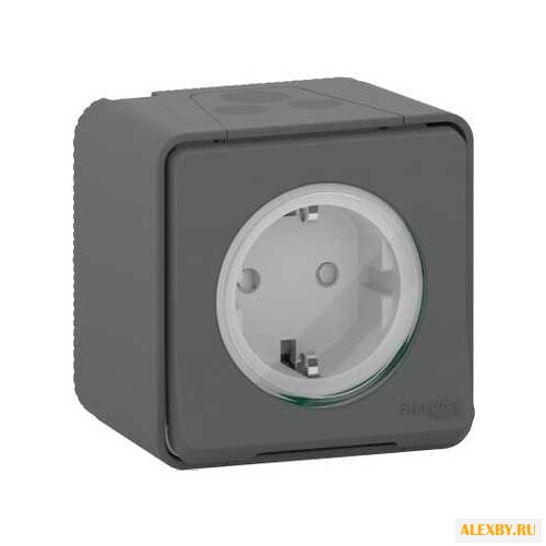 Розетка Schneider Electric