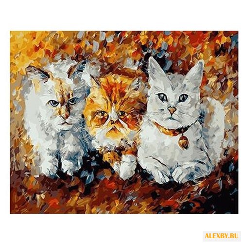 Paintboy Картина по номерам