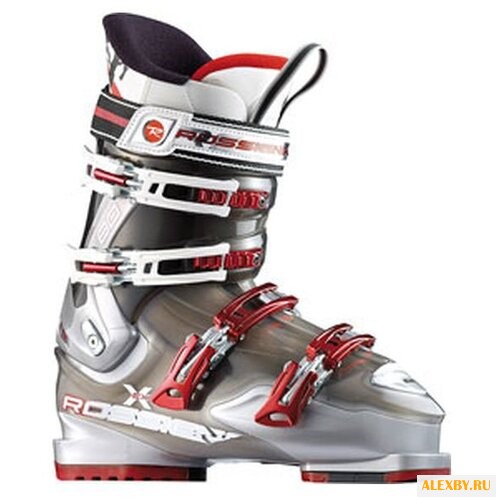Ботинки для горных лыж