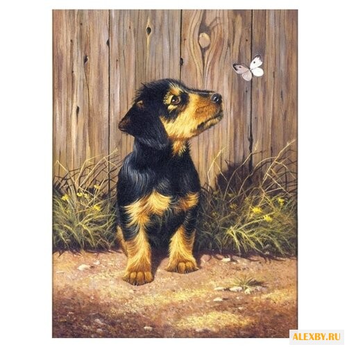 Royal & Langnickel Раскраска по