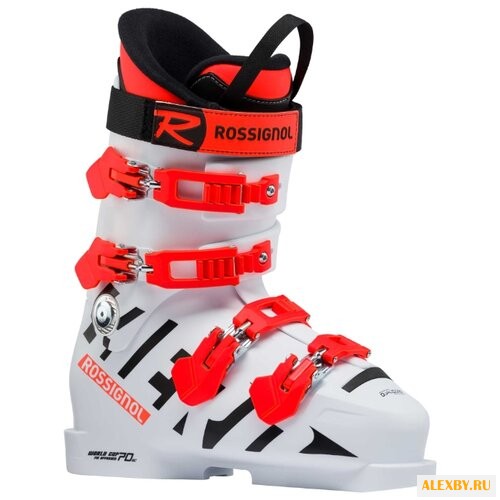 Ботинки для горных лыж