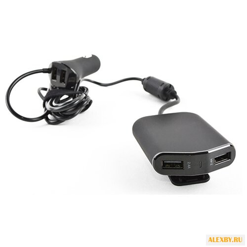 Автомобильная зарядка ROBITON