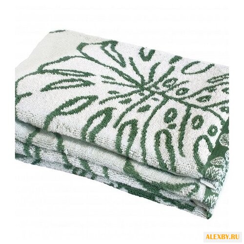 ДеНАСТИЯ Тропики