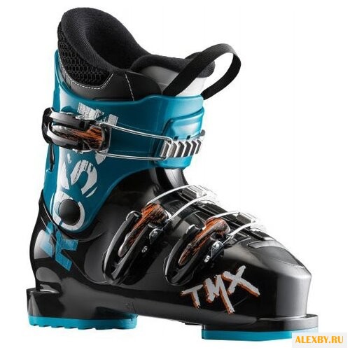 Ботинки для горных лыж