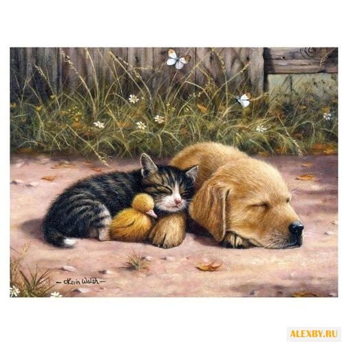 Royal & Langnickel Картина по