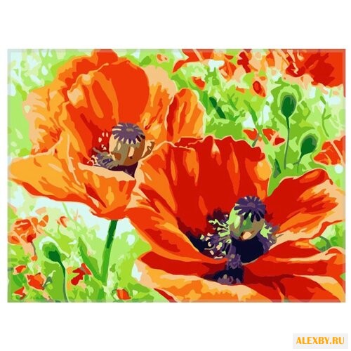 Paintboy Картина по номерам