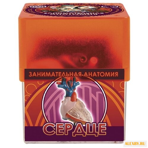 Набор Профессор Эйн Сердце