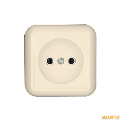 Розетка Schneider Electric