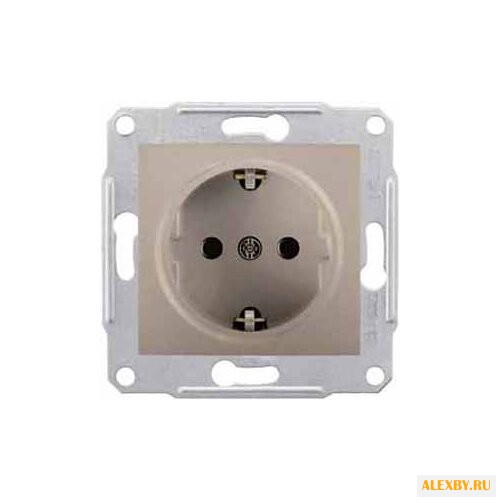 Розетка Schneider Electric