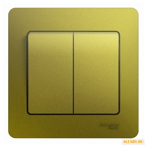 Выключатель 2х1-полюсный