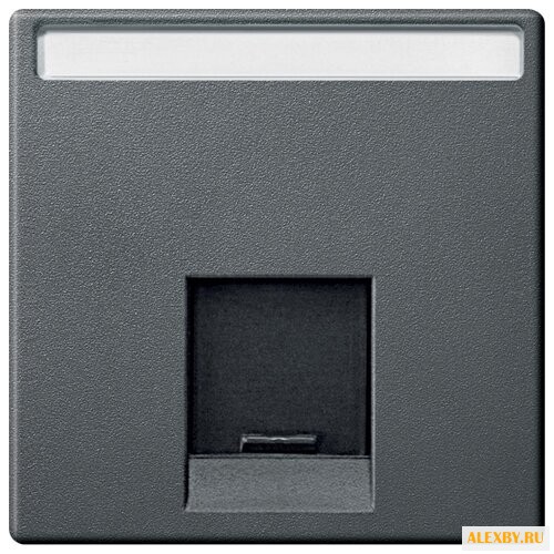 Накладка Schneider Electric