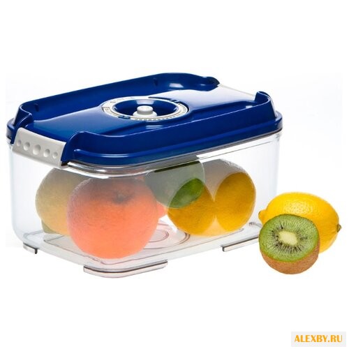 STATUS Контейнер вакуумный