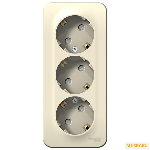 Розетка Schneider Electric