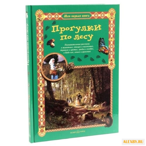 Махотин С.А. Прогулки по лесу