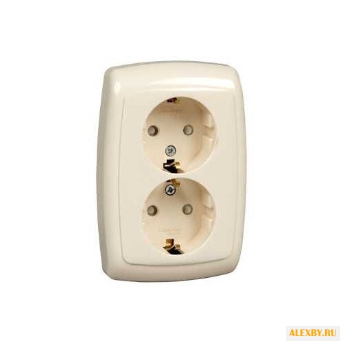Розетка Schneider Electric