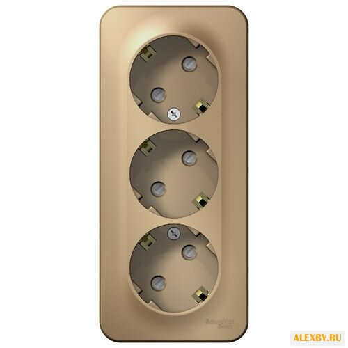 Розетка Schneider Electric