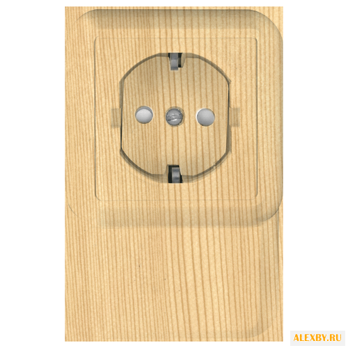 Розетка Schneider Electric