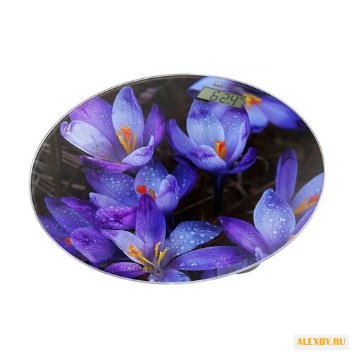 Весы Home Element HE-SC908