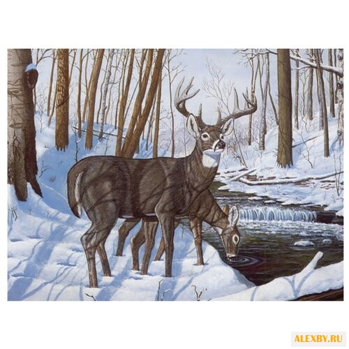 Royal & Langnickel Картина по