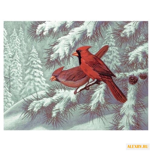 Royal & Langnickel Картина по