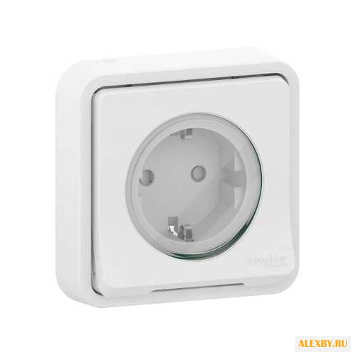Розетка Schneider Electric