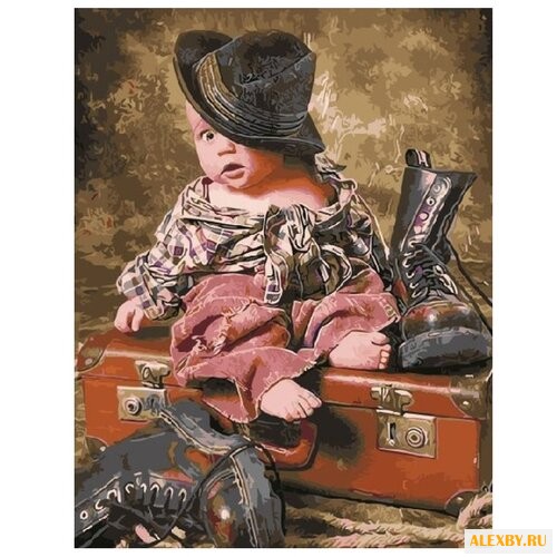 Paintboy Картина по номерам