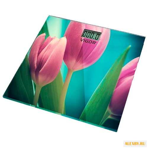 Весы VIGOR HX-8214