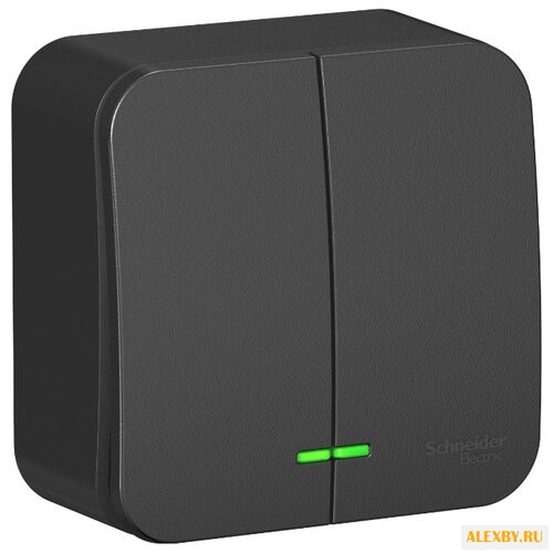 Выключатель 2х1-полюсный