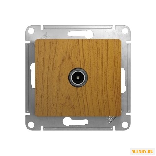 Антенное гнездо Schneider