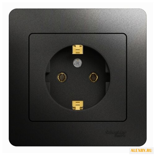 Розетка Schneider Electric
