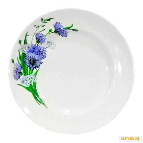 Добрушский фарфоровый завод