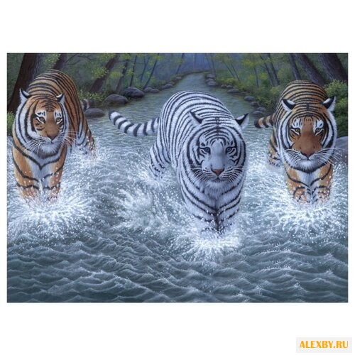 Royal & Langnickel Картина по